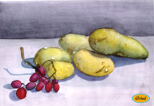Charlotte Scheel akavarel water color kartofler og druer grapes and portatoes 
