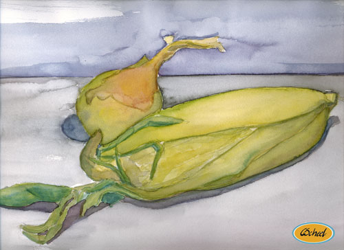 Charlotte Scheel akavarel water color løg og majs corn and onion 